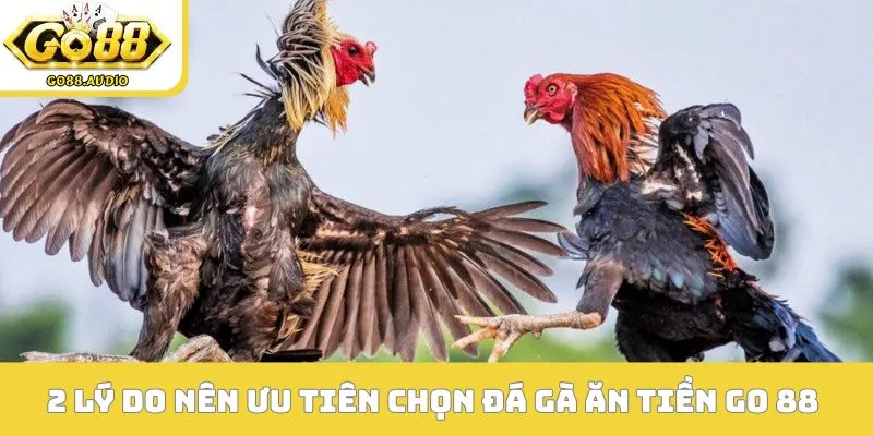 2 lý do nên ưu tiên chọn đá gà ăn tiền GO 88 
