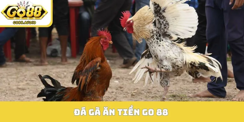 đá gà ăn tiền GO 88