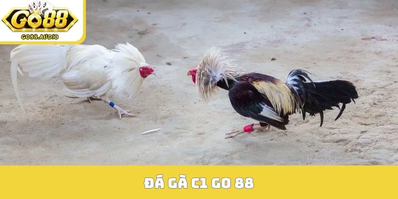 Đá Gà C1 Go 88
