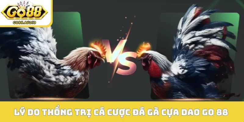 Lý do thống trị thị trường cá cược đá gà cựa dao GO 88 