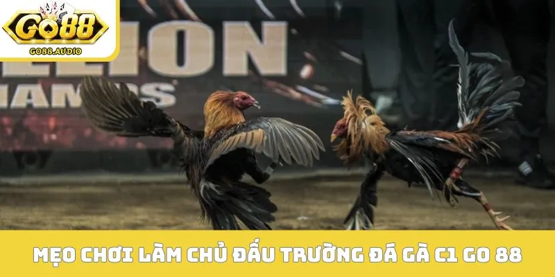 Mẹo chơi làm chủ đấu trường đá gà C1 Go 88