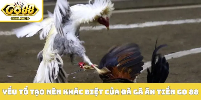 Yếu tố tạo nên sự khác biệt của đá gà ăn tiền GO 88