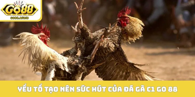 Yếu tố tạo nên sức hút của đá gà C1 Go 88